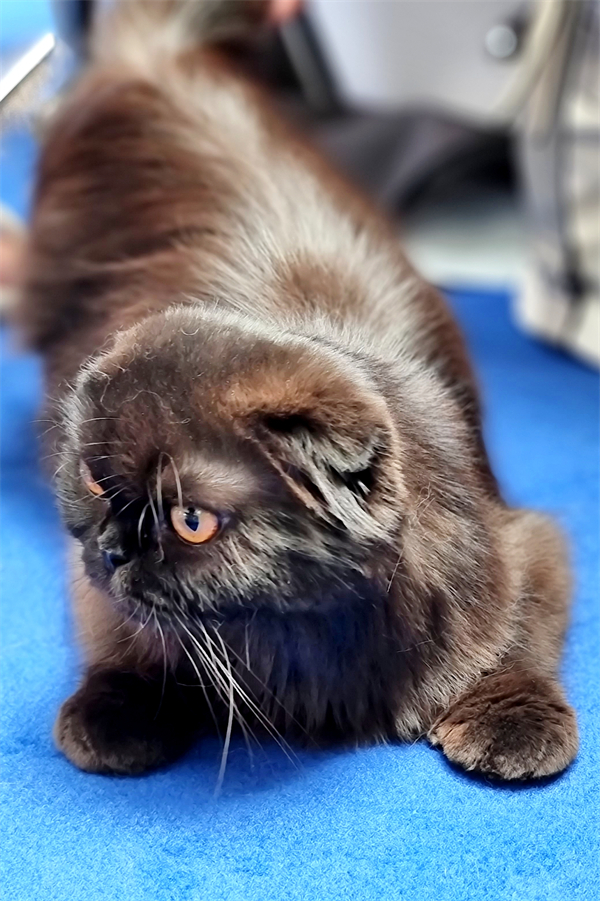 首页- 南宫NG28集团娱乐官方网站