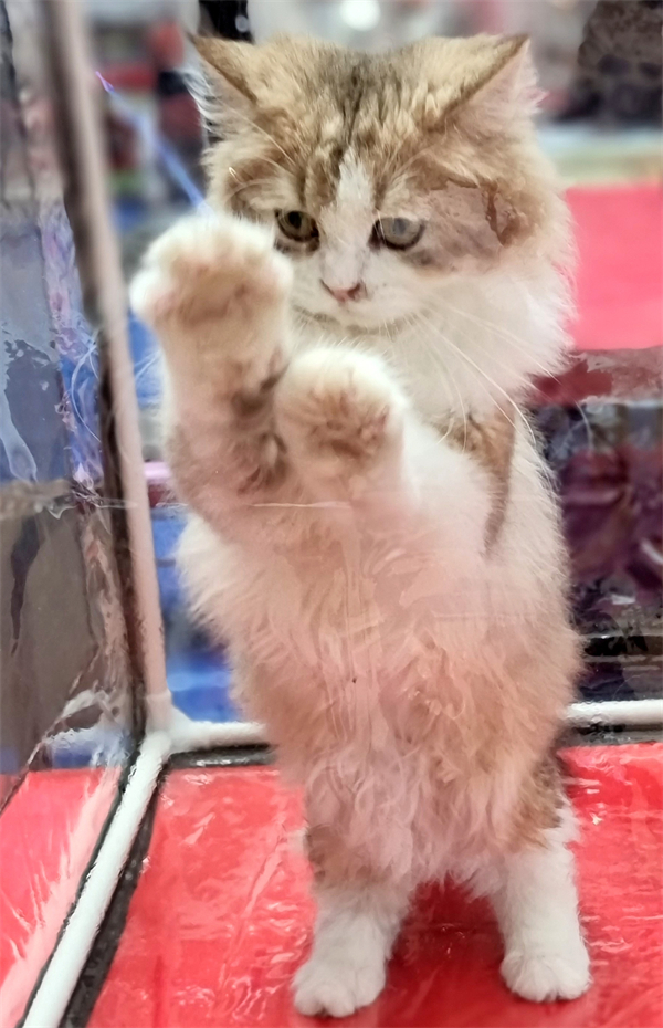 首页- 南宫NG28集团娱乐官方网站