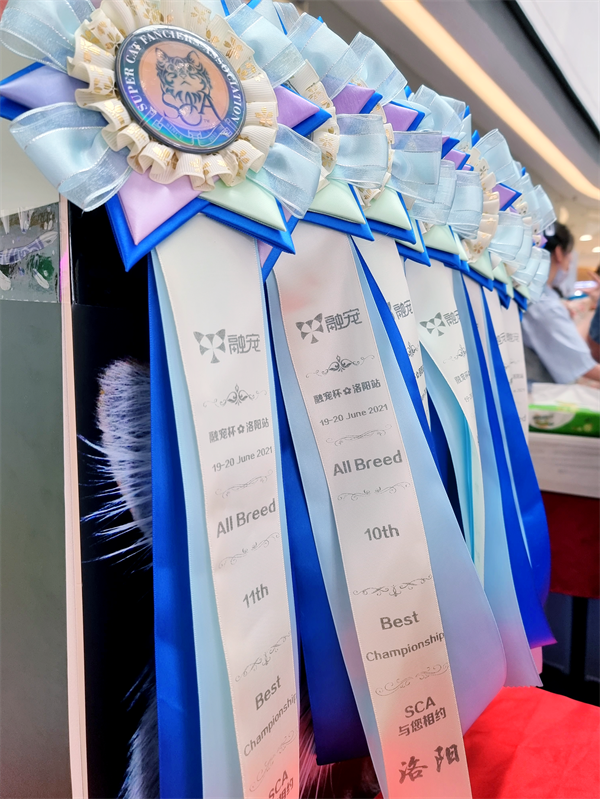 首页- 南宫NG28集团娱乐官方网站