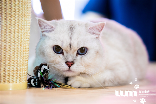 首页- 南宫NG28集团娱乐官方网站