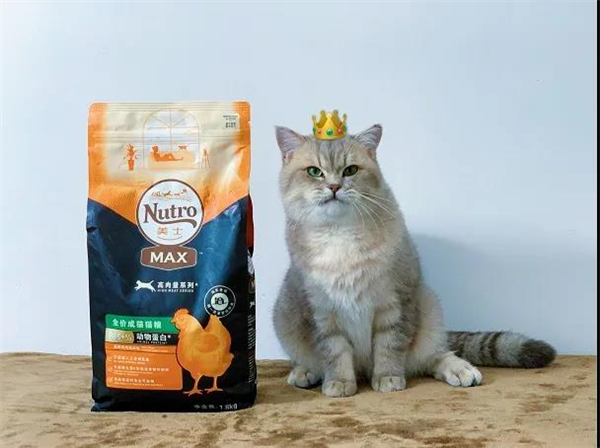 首页- 南宫NG28集团娱乐官方网站