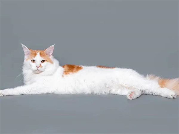 首页- 南宫NG28集团娱乐官方网站