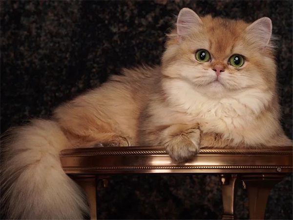 首页- 南宫NG28集团娱乐官方网站