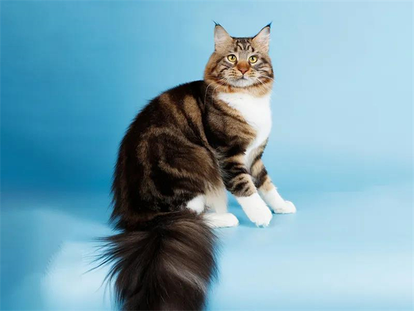 首页- 南宫NG28集团娱乐官方网站