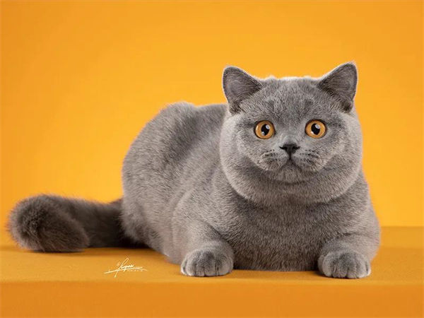 首页- 南宫NG28集团娱乐官方网站