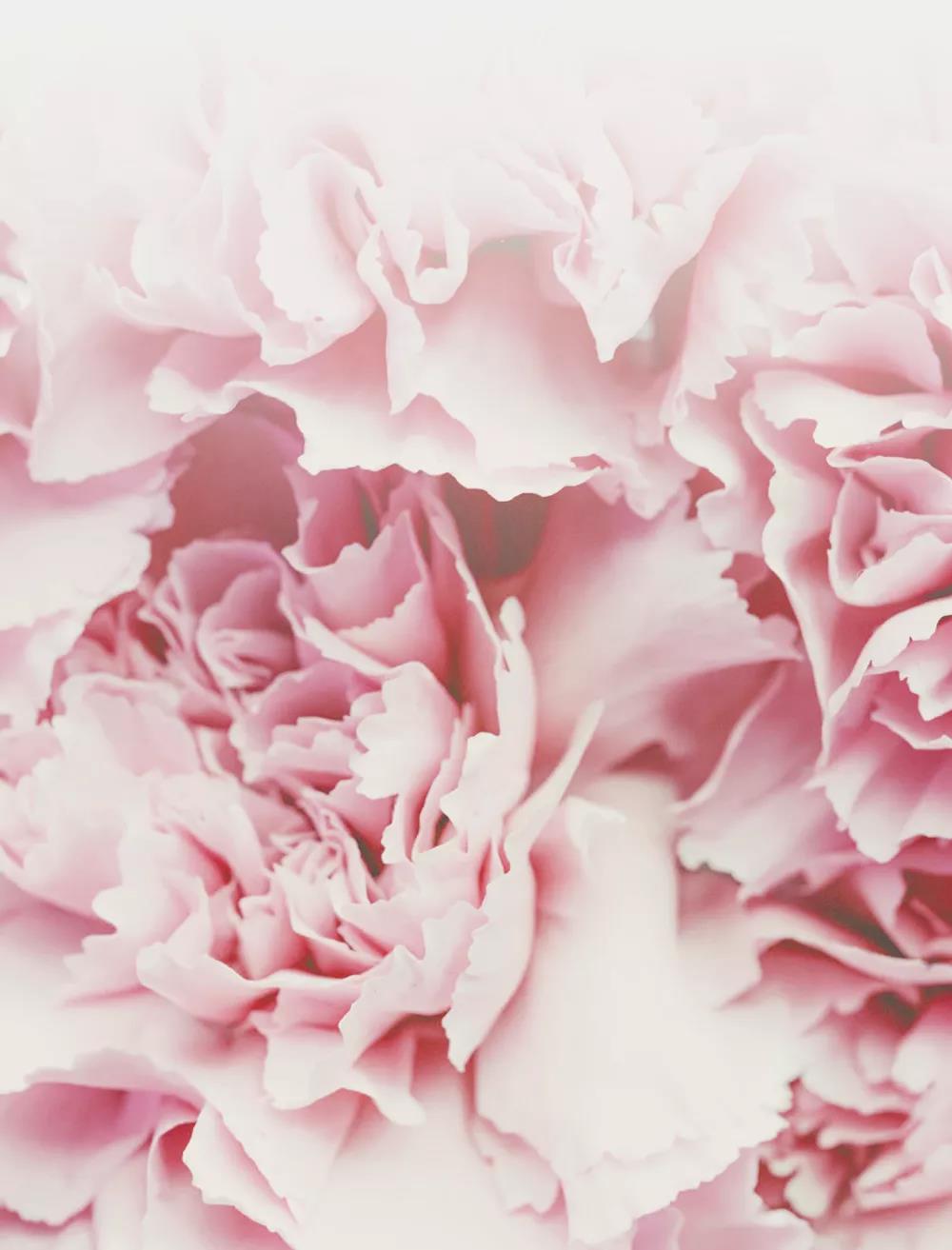 首页- 南宫NG28集团娱乐官方网站