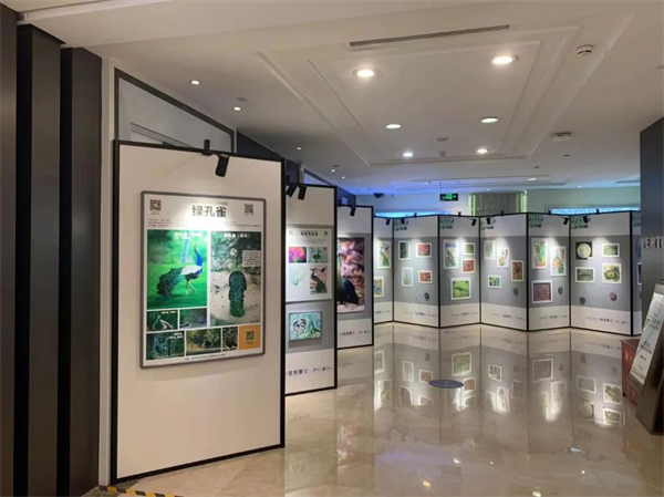 首页- 南宫NG28集团娱乐官方网站