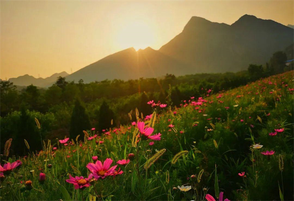 首页- 南宫NG28集团娱乐官方网站