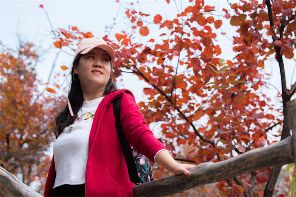 首页- 南宫NG28集团娱乐官方网站