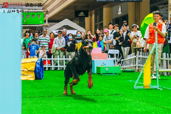 首页- 南宫NG28集团娱乐官方网站