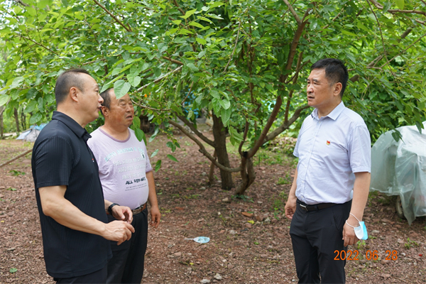 首页- 南宫NG28集团娱乐官方网站