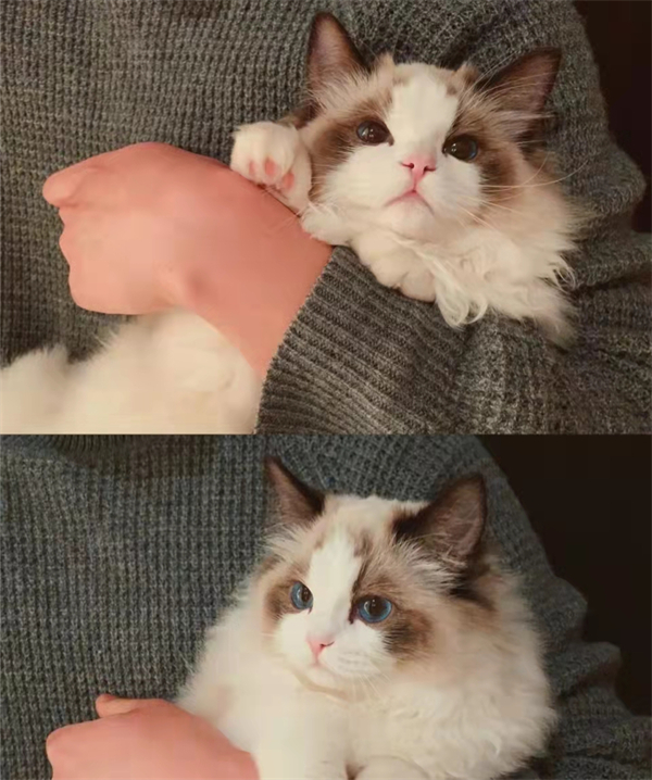 首页- 南宫NG28集团娱乐官方网站